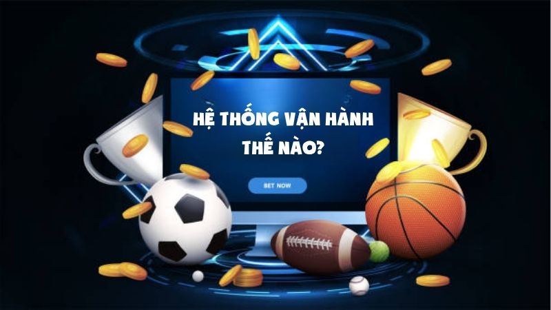 Hệ thống cá cược vận hành như thế nào?