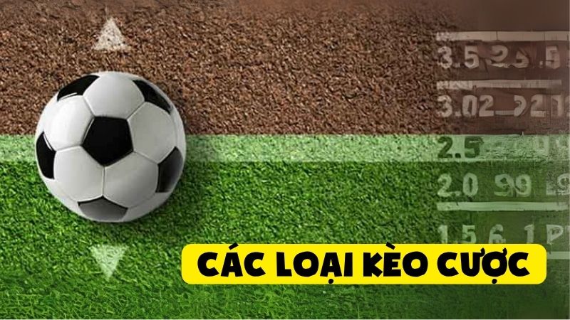 Các loại kèo cược phổ biến hiện nay