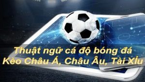 Có nhiều kèo cá cược khác nhau người chơi cần nắm được